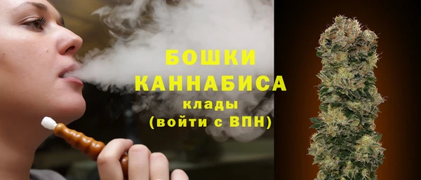 mix Богородск