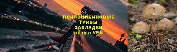 mix Богородск