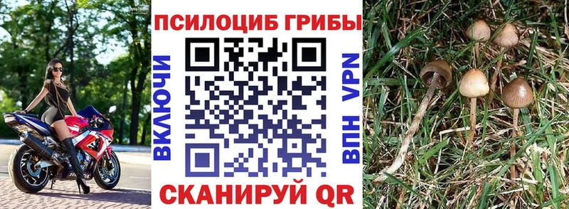 Купить где  Сарапул  Галлюциногенные грибы мухоморы 